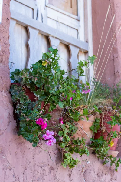 Flores decorativas em uma janela — Fotografia de Stock