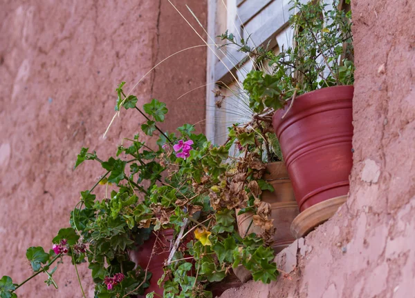 Flores decorativas em uma janela — Fotografia de Stock