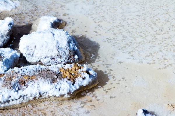 Detalj av saltet i Maras Peru — Stockfoto