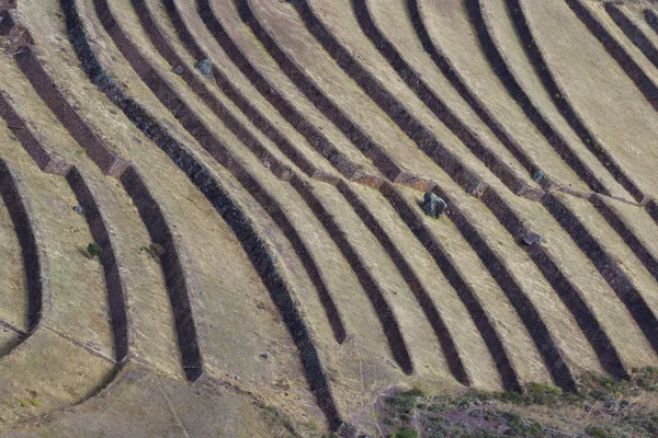 Terrasses agricoles au bord de l'Inca — Photo