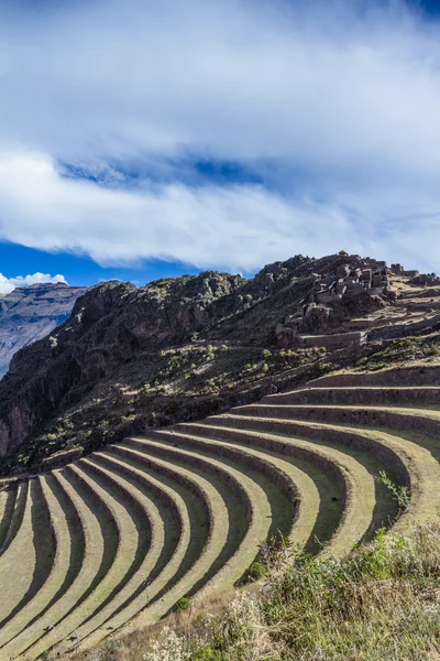 Terraços agrícolas pelo Inca — Fotografia de Stock
