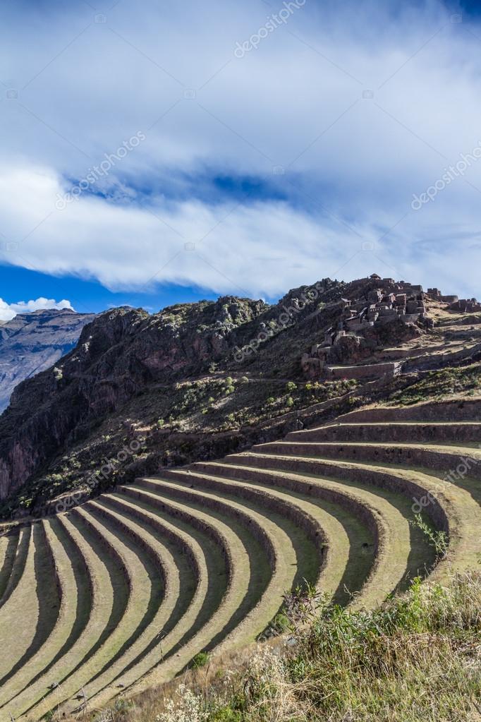 Terrazas De Cultivo Por Los Incas Fotos De Stock