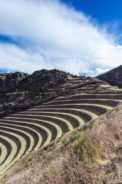 farming terraces by the Inca