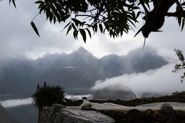 Peaks and mountains in the fog — Stock Photo, Image