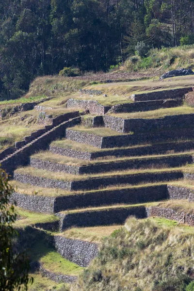 Inca farming terraces — Stock Photo, Image