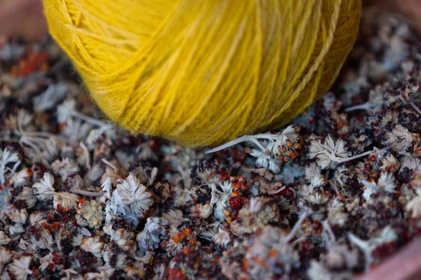 Naturprodukte zum Färben von Textilien — Stockfoto