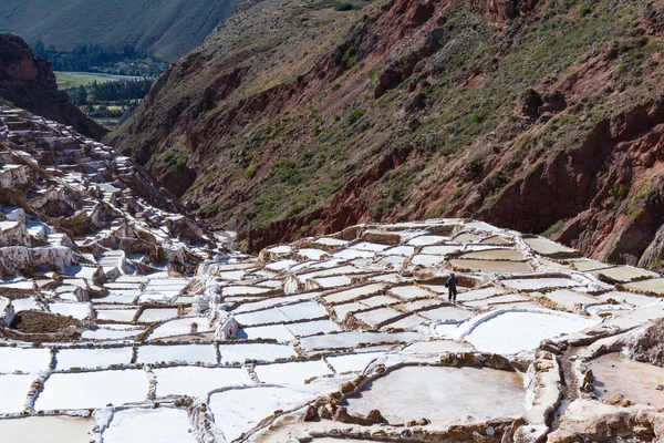 Soli rybníků Maras, Peru — Stock fotografie