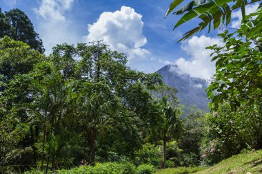 Arenal yanardağ, Kosta Rika 