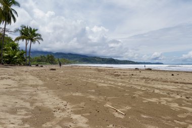 Kosta Rika Güney Pasifik Sahil 