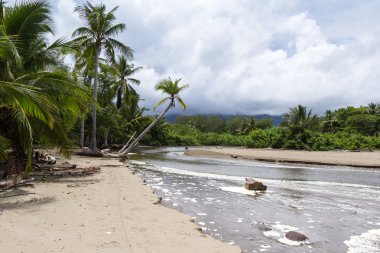 Kosta Rika Güney Pasifik Sahil 