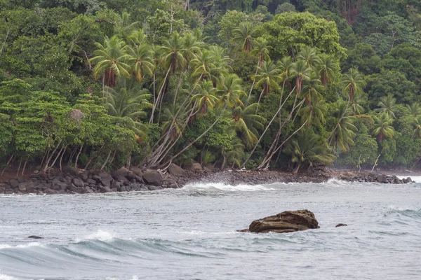 Zielony beach w Costa Rica — Zdjęcie stockowe