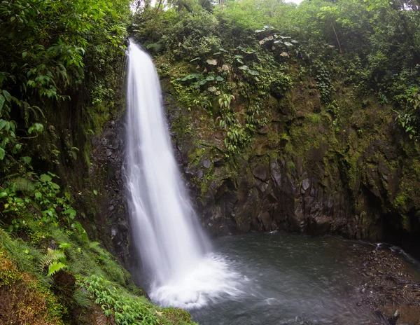 Cachoeira em Costa Rica — Fotografia de Stock