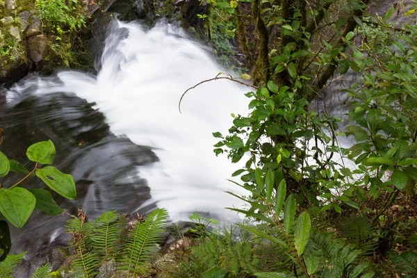 Air terjun di Kosta Rika — Stok Foto