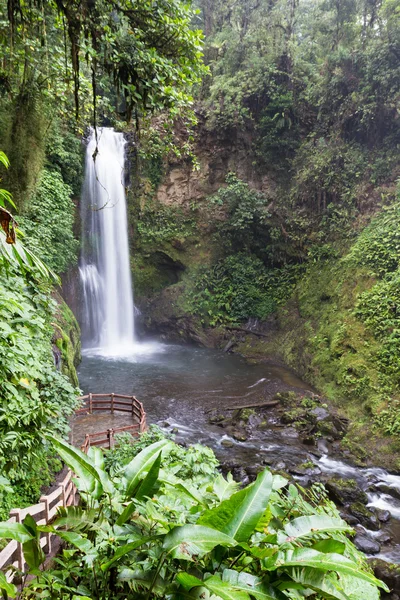 哥斯达黎加的瀑布 — 图库照片