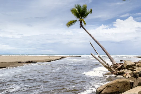 Costa Rica spiaggia del Pacifico meridionale — Foto Stock