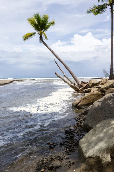 Costa Rica spiaggia del Pacifico meridionale — Foto Stock