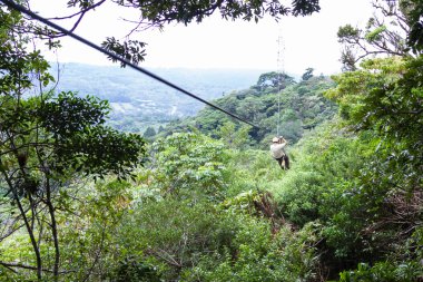 ZIP satır gölgelik turları Kosta Rika