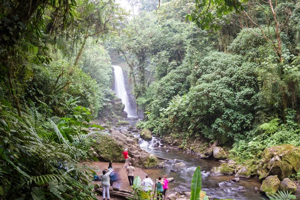 Cascada en Costa Rica —  Fotos de Stock