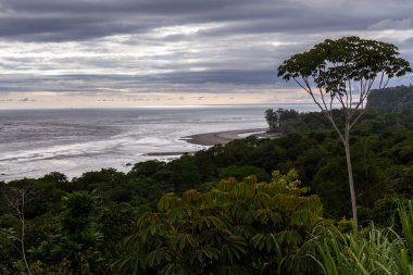 Güney Pasifik Sahil Kosta Rika 
