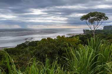 Güney Pasifik Sahil Kosta Rika 