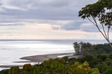 Güney Pasifik Sahil Kosta Rika 