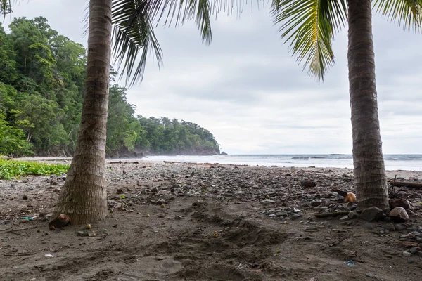 Южнотихоокеанский пляж Коста-Рики — стоковое фото