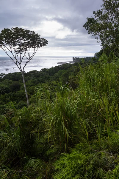 Südliche Pazifikküste Costa Ricas — Stockfoto