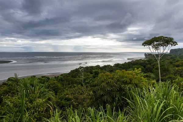 Zuidelijke Pacifische kust van Costa Rica — Stockfoto