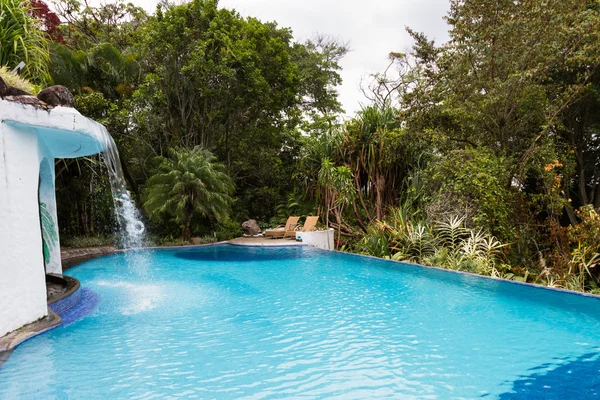 Piscina tropical — Fotografia de Stock