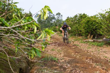 Kosta Rika sürme kaba 