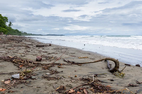 Pláž scéna v Kostarice — Stock fotografie