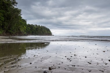 Kosta Rika Güney Pasifik Sahil 