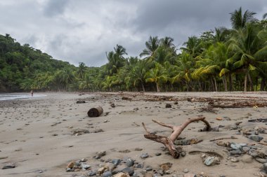 Kosta Rika Güney Pasifik Sahil 