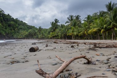 Kosta Rika Güney Pasifik Sahil 