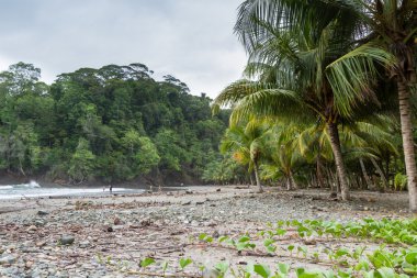 Kosta Rika Güney Pasifik Sahil 