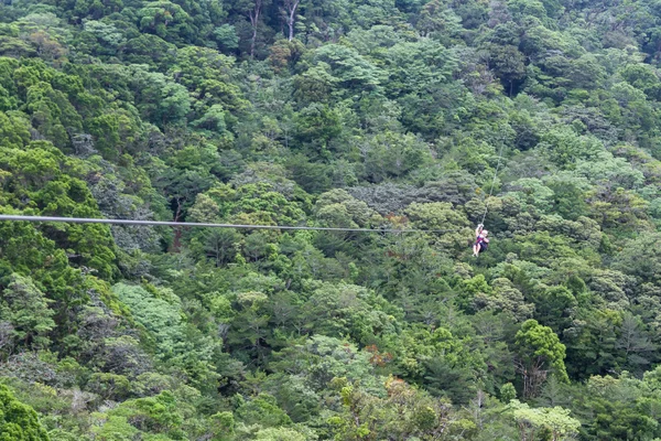 Zip line canopy tours in Costa Rica — Stockfoto