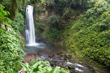 Kosta Rika 'da Şelale 