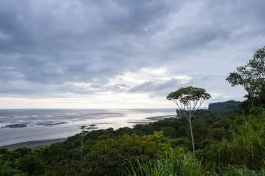 Güney Pasifik Sahil Kosta Rika 