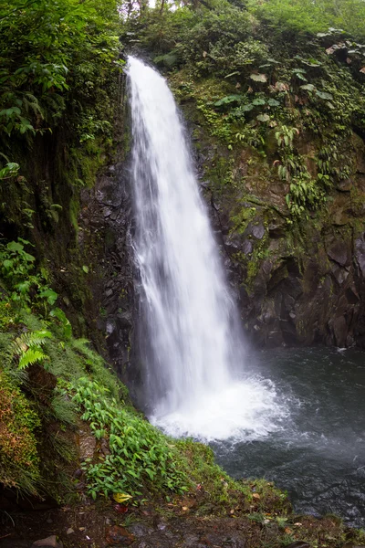 Wasserfall in Costa Rica — Stockfoto