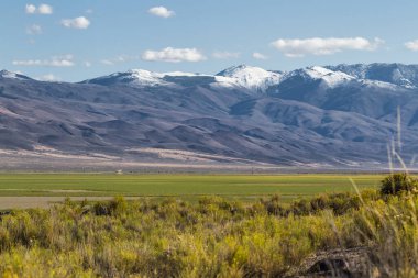 Kuzey Nevada 'da eski kurumuş bir göl yatağında yeşil çayırlar yetişiyor. Sonbaharda sağanak yağış ve dağlarda biraz kar yağdıktan sonra.