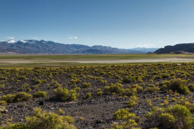 Kuzey Nevada 'da eski kurumuş bir göl yatağında yeşil çayırlar yetişiyor. Sonbaharda sağanak yağış ve dağlarda biraz kar yağdıktan sonra.