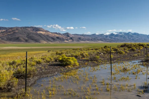 Praterie Verdi Che Crescono Antico Letto Lago Essiccato Nel Nevada — Foto Stock