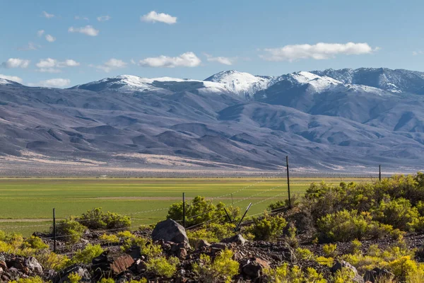 Pradarias Verdes Crescendo Antigo Leito Lago Seco Norte Nevada Após — Fotografia de Stock