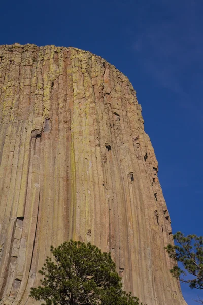 Devils tower — Stock fotografie