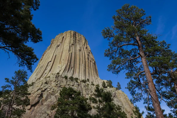 Devils Tower — Stock Photo, Image