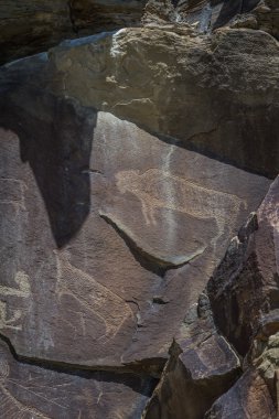 wyoming petroglifler