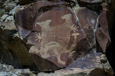wyoming petroglifler