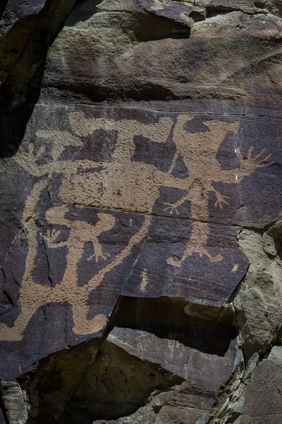 Petroglyphs of wyoming — Stock Photo, Image