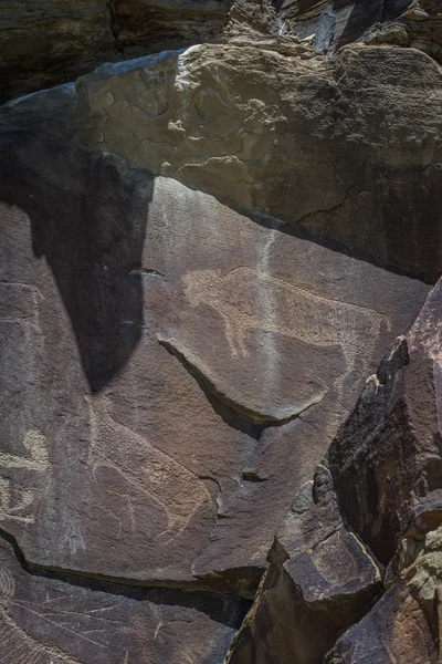 Petroglifos del wyoming —  Fotos de Stock