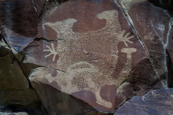 Petroglifi di wyoming — Foto Stock